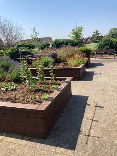 A community wellness garden at Finchley Memorial Hospital